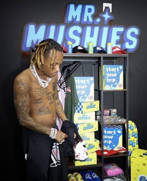 mr mushies chocolate bar