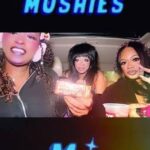 mr mushies chocolate bar